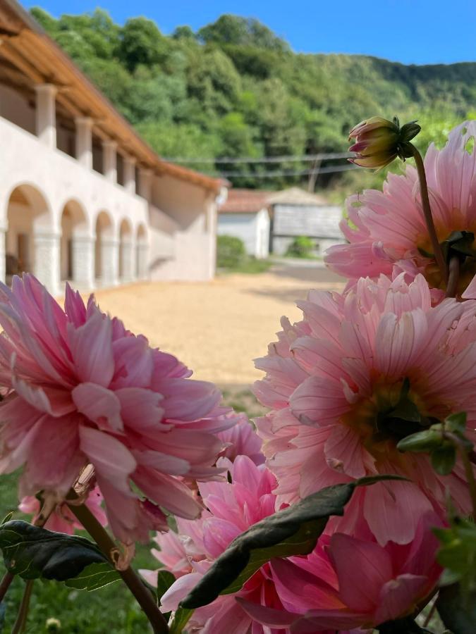 Agriturismo Il Bosco Camere Витторио-Венето Экстерьер фото